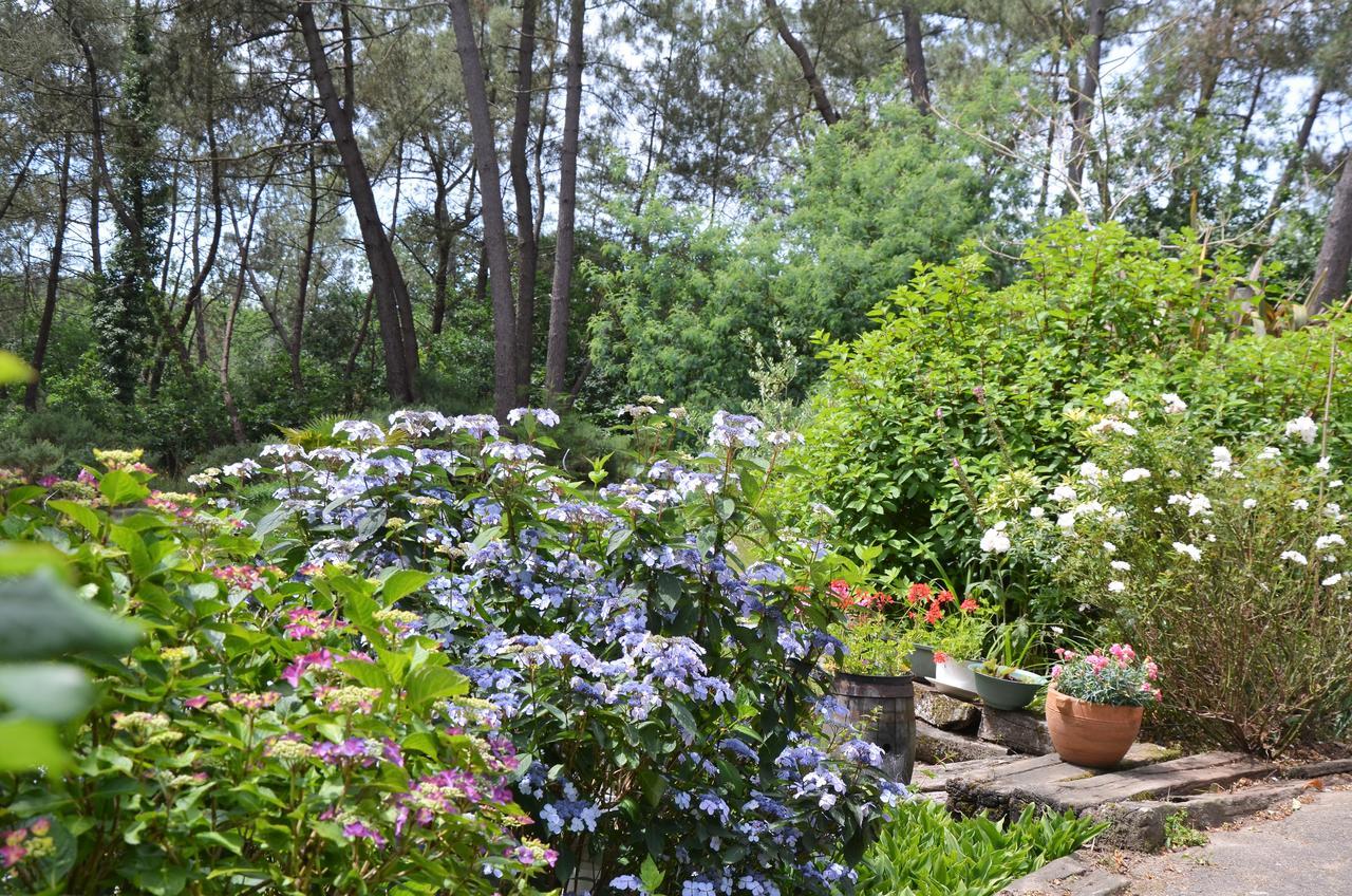 L'Hippocampe Bed and Breakfast Sérent Exterior foto